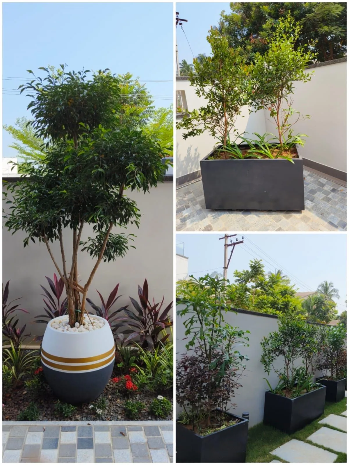 Sculpture & FRP Manufacturing