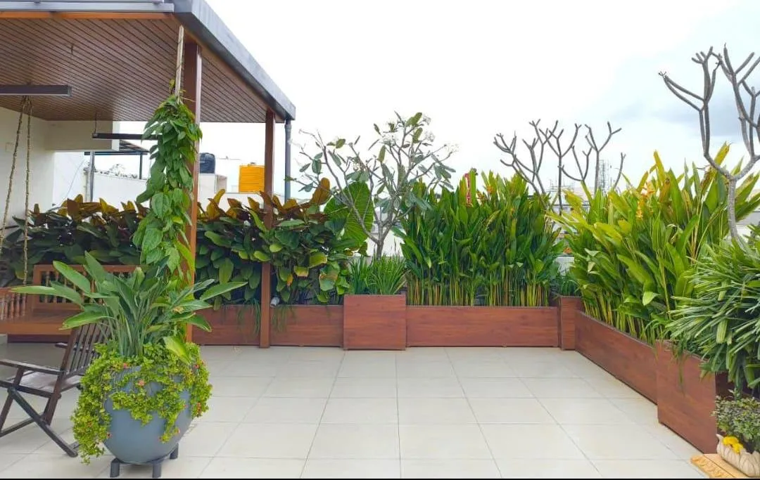 Terrace Gardening & Wooden Decks
