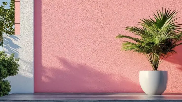 Pink Stucco Texture · Exterior Wall